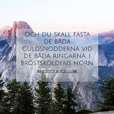 Picture 07 - 2 Mosebok 28:24 SV1917 - Och du skall fästa de båda guldsnodderna vid de - Bible Verse Picture