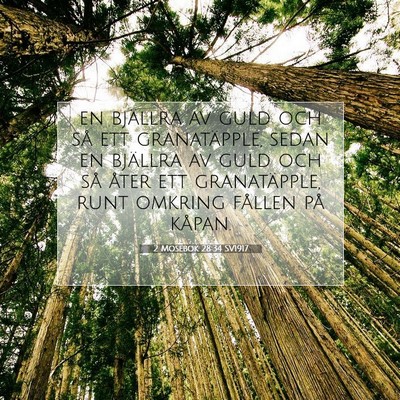 Picture 07 - 2 Mosebok 28:34 SV1917 - en bjällra av guld och så ett granatäpple, - Bible Verse Picture