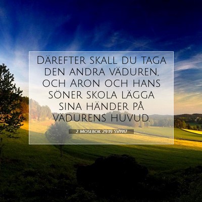 Picture 07 - 2 Mosebok 29:19 SV1917 - Därefter skall du taga den andra väduren, och - Bible Verse Picture