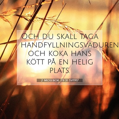 Picture 07 - 2 Mosebok 29:31 SV1917 - Och du skall taga handfyllningsväduren och koka - Bible Verse Picture