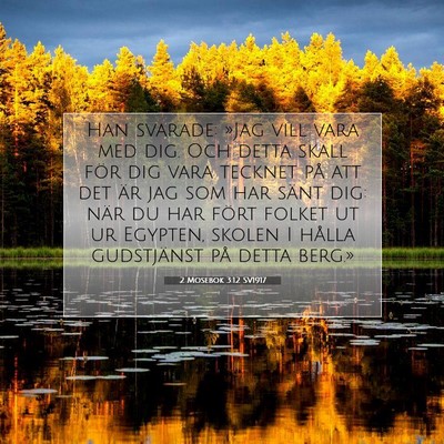 Picture 07 - 2 Mosebok 3:12 SV1917 - Han svarade: »Jag vill vara med dig. Och detta - Bible Verse Picture