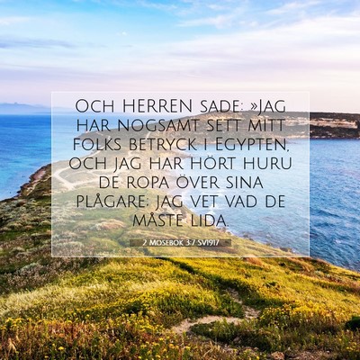 Picture 07 - 2 Mosebok 3:7 SV1917 - Och HERREN sade: »Jag har nogsamt sett mitt - Bible Verse Picture