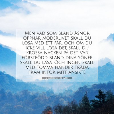 Picture 07 - 2 Mosebok 34:20 SV1917 - Men vad som bland åsnor öppnar moderlivet skall - Bible Verse Picture