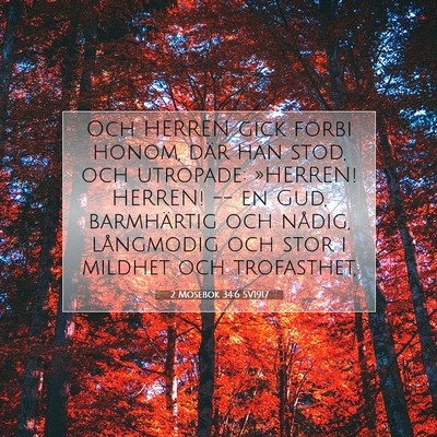 Picture 07 - 2 Mosebok 34:6 SV1917 - Och HERREN gick förbi honom, där han stod, och - Bible Verse Picture