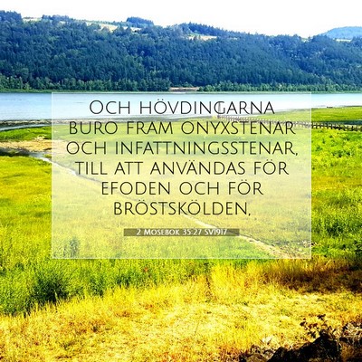 Picture 07 - 2 Mosebok 35:27 SV1917 - Och hövdingarna buro fram onyxstenar och - Bible Verse Picture