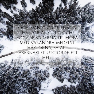 Picture 07 - 2 Mosebok 36:13 SV1917 - Och man gjorde femtio häktor av guld och fogade - Bible Verse Picture