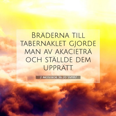 Picture 07 - 2 Mosebok 36:20 SV1917 - Bräderna till tabernaklet gjorde man av - Bible Verse Picture