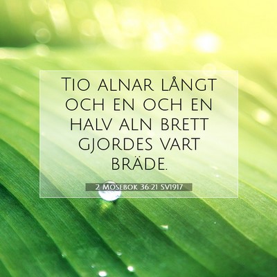 Picture 07 - 2 Mosebok 36:21 SV1917 - Tio alnar långt och en och en halv aln brett - Bible Verse Picture