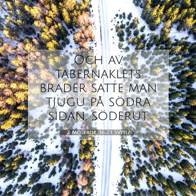 Picture 07 - 2 Mosebok 36:23 SV1917 - Och av tabernaklets bräder satte man tjugu på - Bible Verse Picture