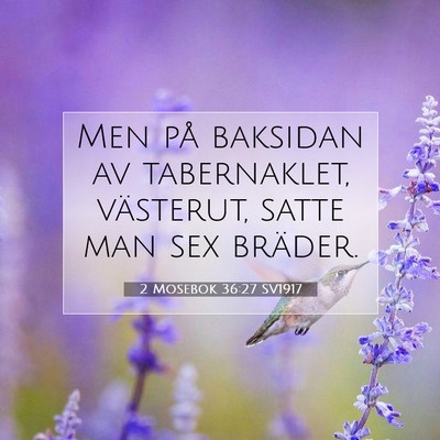 Picture 07 - 2 Mosebok 36:27 SV1917 - Men på baksidan av tabernaklet, västerut, satte - Bible Verse Picture