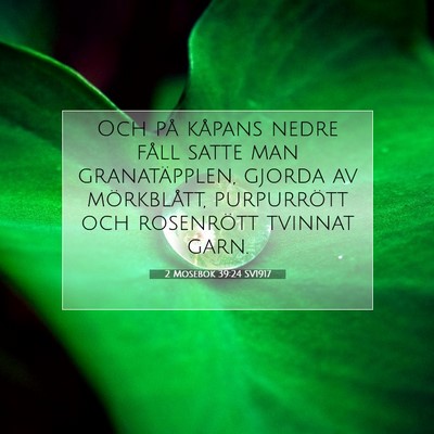 Picture 07 - 2 Mosebok 39:24 SV1917 - Och på kåpans nedre fåll satte man - Bible Verse Picture