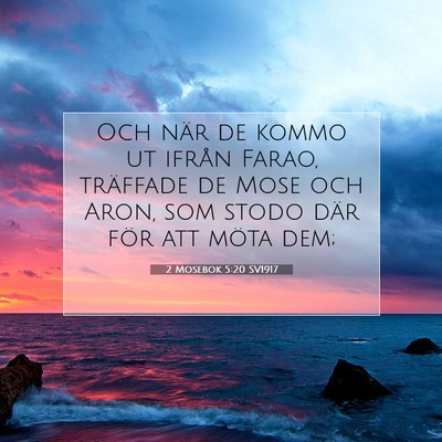 Picture 07 - 2 Mosebok 5:20 SV1917 - Och när de kommo ut ifrån Farao, träffade de - Bible Verse Picture