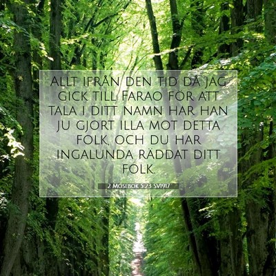 Picture 07 - 2 Mosebok 5:23 SV1917 - Allt ifrån den tid då jag gick till Farao för - Bible Verse Picture