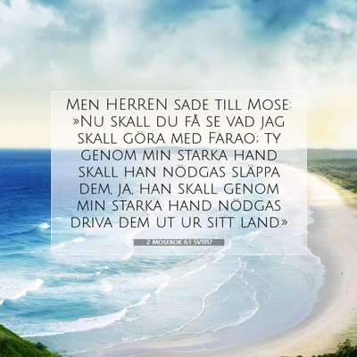 Picture 07 - 2 Mosebok 6:1 SV1917 - Men HERREN sade till Mose: »Nu skall du få se - Bible Verse Picture