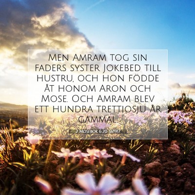 Picture 07 - 2 Mosebok 6:20 SV1917 - Men Amram tog sin faders syster Jokebed till - Bible Verse Picture