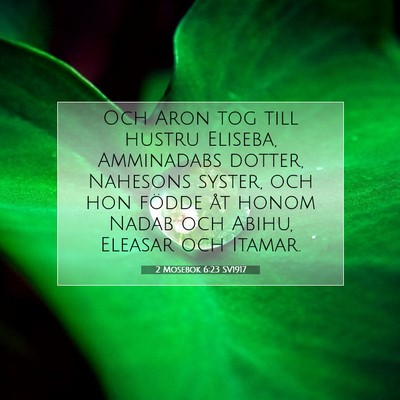 Picture 07 - 2 Mosebok 6:23 SV1917 - Och Aron tog till hustru Eliseba, Amminadabs - Bible Verse Picture