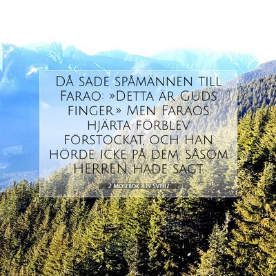 Picture 07 - 2 Mosebok 8:19 SV1917 - Då sade spåmännen till Farao: »Detta är Guds - Bible Verse Picture