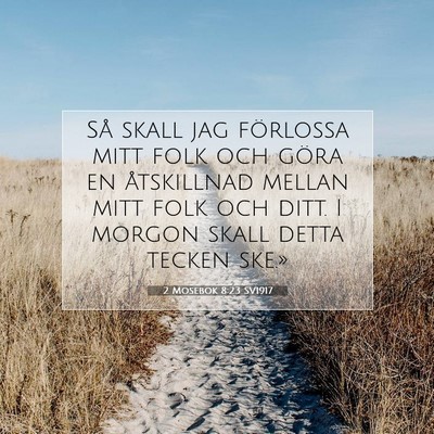Picture 07 - 2 Mosebok 8:23 SV1917 - Så skall jag förlossa mitt folk och göra en - Bible Verse Picture