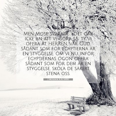 Picture 07 - 2 Mosebok 8:26 SV1917 - Men Mose svarade: »Det går icke an att vi göra - Bible Verse Picture