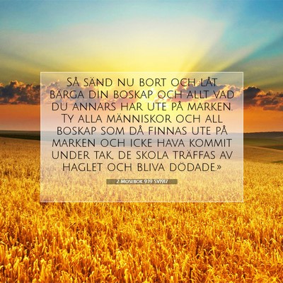 Picture 07 - 2 Mosebok 9:19 SV1917 - Så sänd nu bort och låt bärga din boskap och - Bible Verse Picture