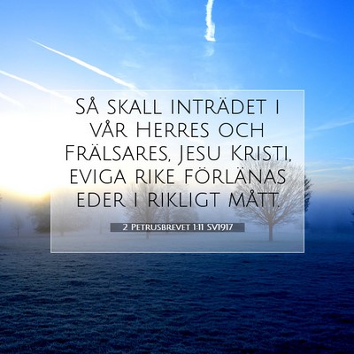 Picture 07 - 2 Petrusbrevet 1:11 SV1917 - Så skall inträdet i vår Herres och Frälsares, - Bible Verse Picture
