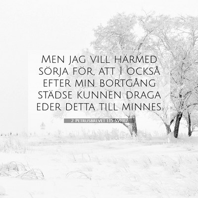 Picture 07 - 2 Petrusbrevet 1:15 SV1917 - Men jag vill härmed sörja för, att I också - Bible Verse Picture