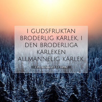 Picture 07 - 2 Petrusbrevet 1:7 SV1917 - i gudsfruktan broderlig kärlek, i den broderliga - Bible Verse Picture