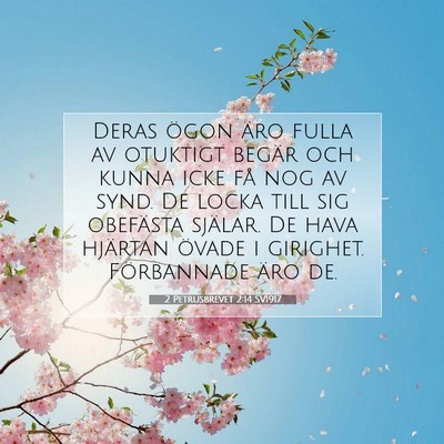 Picture 07 - 2 Petrusbrevet 2:14 SV1917 - Deras ögon äro fulla av otuktigt begär och - Bible Verse Picture