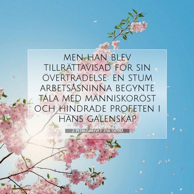Picture 07 - 2 Petrusbrevet 2:16 SV1917 - men han blev tillrättavisad för sin - Bible Verse Picture