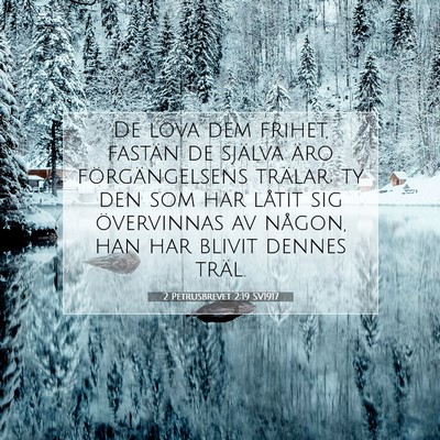 Picture 07 - 2 Petrusbrevet 2:19 SV1917 - De lova dem frihet, fastän de själva äro - Bible Verse Picture