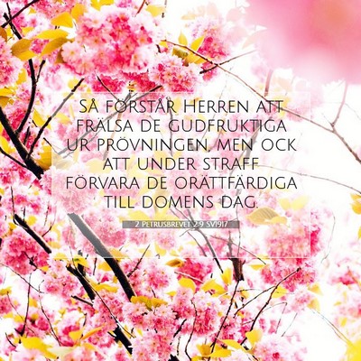 Picture 07 - 2 Petrusbrevet 2:9 SV1917 - Så förstår Herren att frälsa de gudfruktiga - Bible Verse Picture