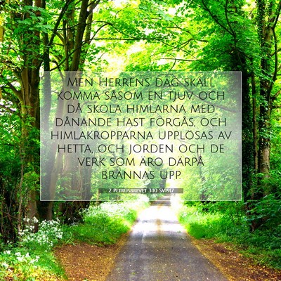 Picture 07 - 2 Petrusbrevet 3:10 SV1917 - Men Herrens dag skall komma såsom en tjuv, och - Bible Verse Picture