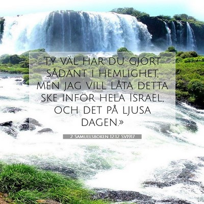 Picture 07 - 2 Samuelsboken 12:12 SV1917 - Ty väl har du gjort sådant i hemlighet, men jag - Bible Verse Picture