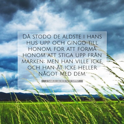 Picture 07 - 2 Samuelsboken 12:17 SV1917 - Då stodo de äldste i hans hus upp och gingo - Bible Verse Picture