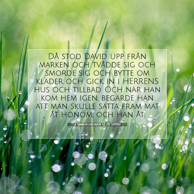 Picture 07 - 2 Samuelsboken 12:20 SV1917 - Då stod David upp från marken och tvådde sig - Bible Verse Picture