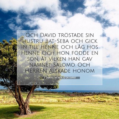 Picture 07 - 2 Samuelsboken 12:24 SV1917 - Och David tröstade sin hustru Bat-Seba och gick - Bible Verse Picture