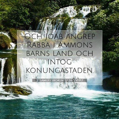 Picture 07 - 2 Samuelsboken 12:26 SV1917 - Och Joab angrep Rabba i Ammons barns land och - Bible Verse Picture