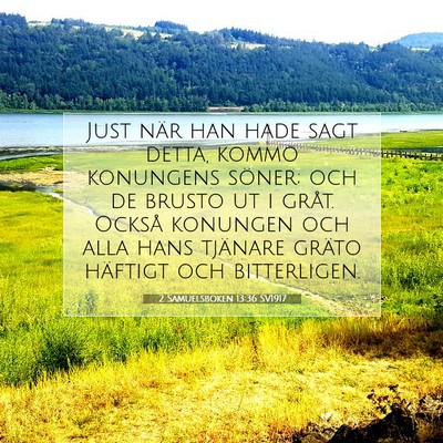 Picture 07 - 2 Samuelsboken 13:36 SV1917 - Just när han hade sagt detta, kommo konungens - Bible Verse Picture