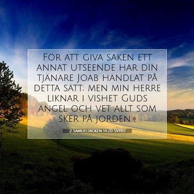 Picture 07 - 2 Samuelsboken 14:20 SV1917 - För att giva saken ett annat utseende har din - Bible Verse Picture