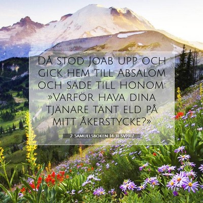 Picture 07 - 2 Samuelsboken 14:31 SV1917 - Då stod Joab upp och gick hem till Absalom och - Bible Verse Picture