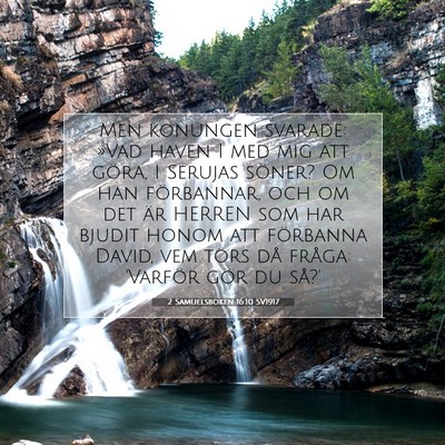 Picture 07 - 2 Samuelsboken 16:10 SV1917 - Men konungen svarade: »Vad haven I med mig att - Bible Verse Picture