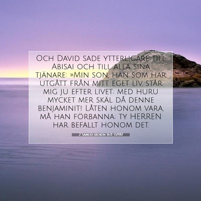 Picture 07 - 2 Samuelsboken 16:11 SV1917 - Och David sade ytterligare till Abisai och till - Bible Verse Picture