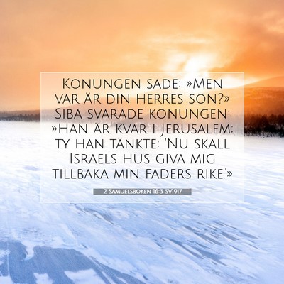 Picture 07 - 2 Samuelsboken 16:3 SV1917 - Konungen sade: »Men var är din herres son?» - Bible Verse Picture