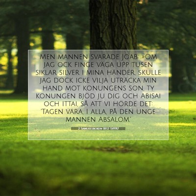 Picture 07 - 2 Samuelsboken 18:12 SV1917 - Men mannen svarade Joab: »Om jag ock finge väga - Bible Verse Picture