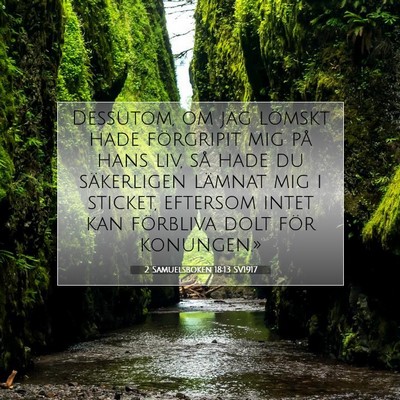 Picture 07 - 2 Samuelsboken 18:13 SV1917 - Dessutom, om jag lömskt hade förgripit mig på - Bible Verse Picture