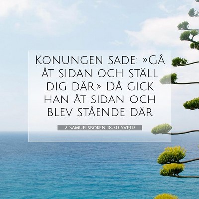 Picture 07 - 2 Samuelsboken 18:30 SV1917 - Konungen sade: »Gå åt sidan och ställ dig - Bible Verse Picture