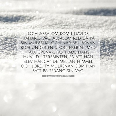 Picture 07 - 2 Samuelsboken 18:9 SV1917 - Och Absalom kom i Davids tjänares väg. Absalom - Bible Verse Picture