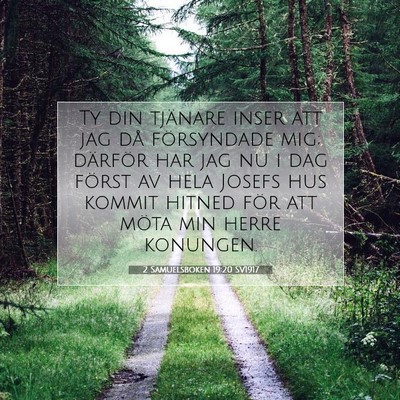 Picture 07 - 2 Samuelsboken 19:20 SV1917 - Ty din tjänare inser att jag då försyndade - Bible Verse Picture