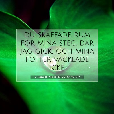 Picture 07 - 2 Samuelsboken 22:37 SV1917 - du skaffade rum för mina steg, där jag gick, - Bible Verse Picture