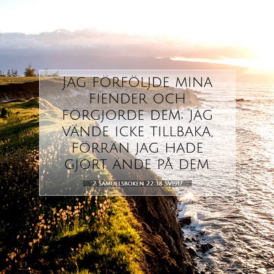 Picture 07 - 2 Samuelsboken 22:38 SV1917 - Jag förföljde mina fiender och förgjorde dem; - Bible Verse Picture